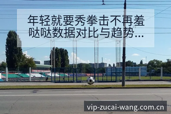 年轻就要秀拳击不再羞哒哒数据对比与趋势观察签表解析 - 足彩网